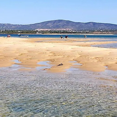 Cosy Terrace House - Design, Comfort, Micro-pool, Location In *